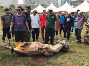 Program Ibadah Qurban & Aqiqah 1440H/2019M @Masjid Tuanku Mizan Zainal Abidin , Putrajaya